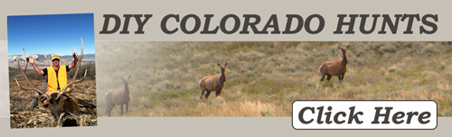 DIY Colorado Hunting
