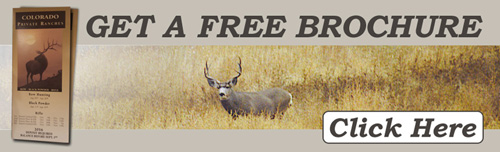 Private and Hunting Leases in Colorado